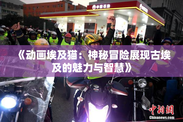《动画埃及猫：神秘冒险展现古埃及的魅力与智慧》
