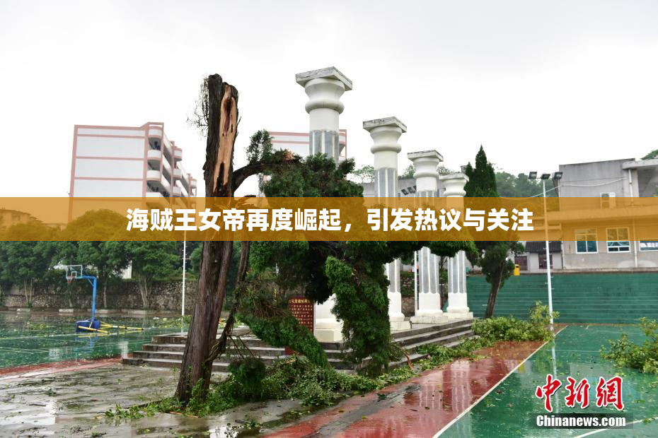 海贼王女帝再度崛起，引发热议与关注