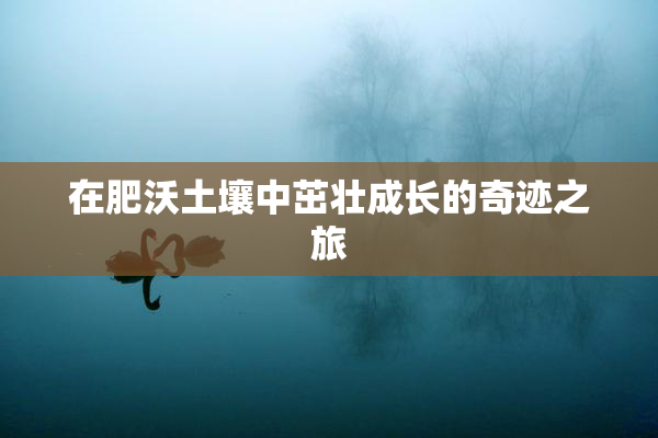 在肥沃土壤中茁壮成长的奇迹之旅