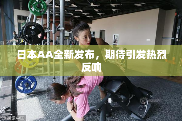 日本AA全新发布，期待引发热烈反响