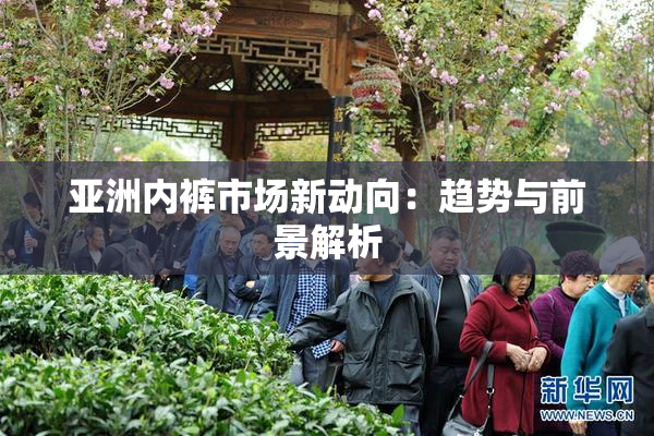 亚洲内裤市场新动向：趋势与前景解析