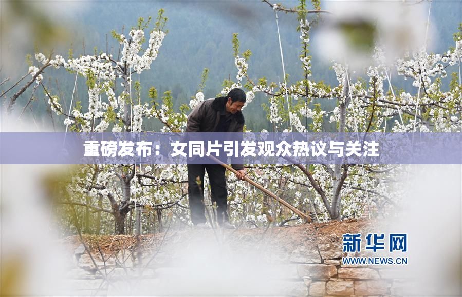 重磅发布：女同片引发观众热议与关注