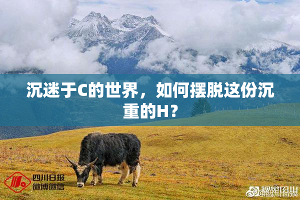 沉迷于C的世界，如何摆脱这份沉重的H？