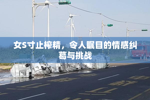 女S寸止榨精，令人瞩目的情感纠葛与挑战