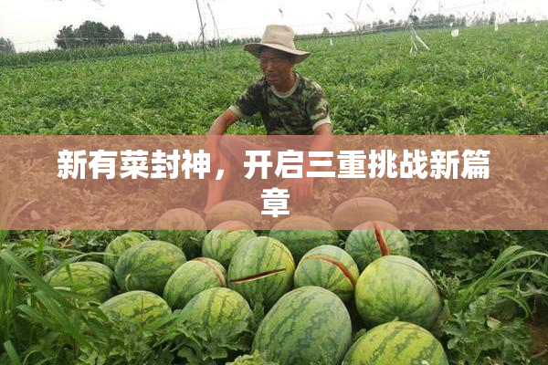 新有菜封神，开启三重挑战新篇章