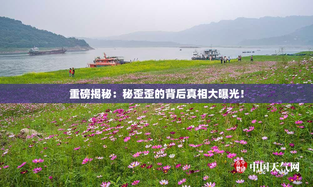 重磅揭秘：秘歪歪的背后真相大曝光！