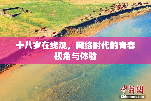 十八岁在线观，网络时代的青春视角与体验