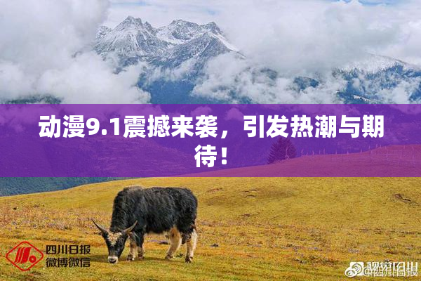 动漫9.1震撼来袭，引发热潮与期待！