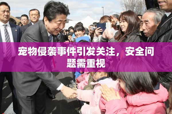 宠物侵袭事件引发关注，安全问题需重视