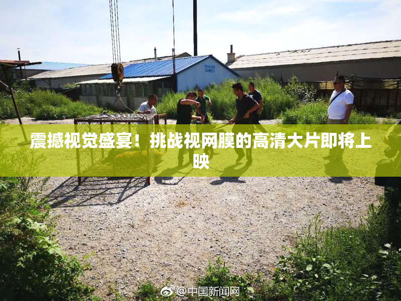 震撼视觉盛宴！挑战视网膜的高清大片即将上映