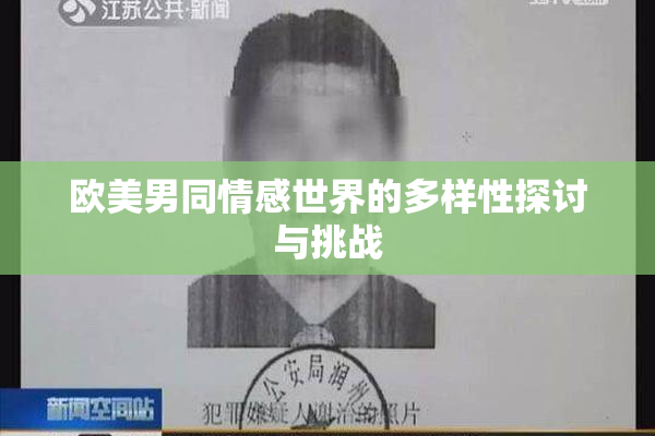 欧美男同情感世界的多样性探讨与挑战