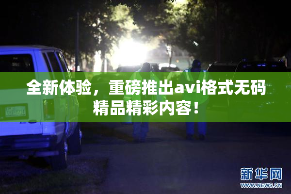 全新体验，重磅推出avi格式无码精品精彩内容！