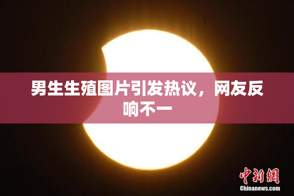 男生生殖图片引发热议，网友反响不一