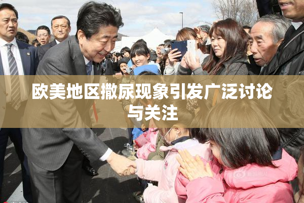 欧美地区撒尿现象引发广泛讨论与关注