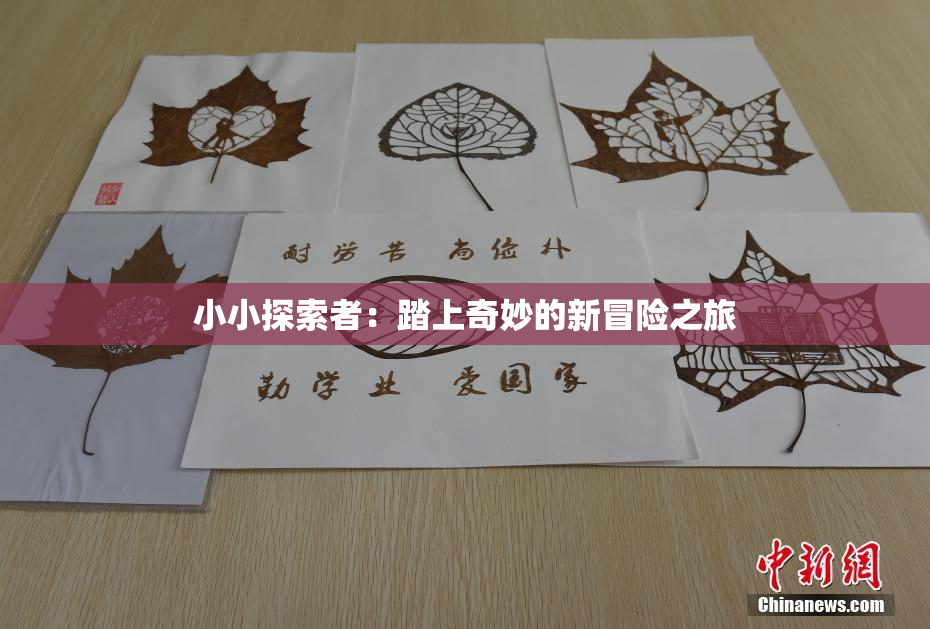 小小探索者：踏上奇妙的新冒险之旅