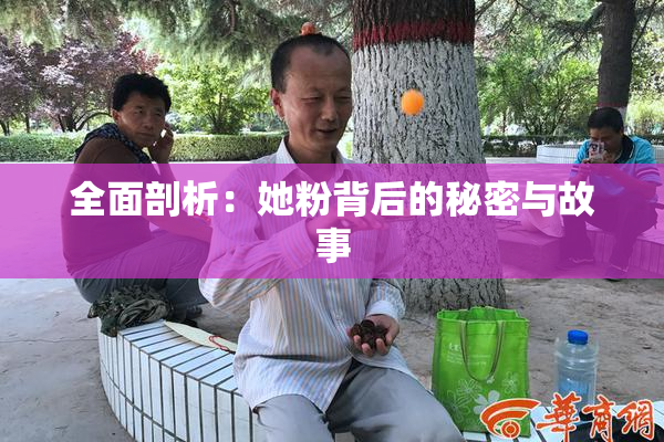 全面剖析：她粉背后的秘密与故事