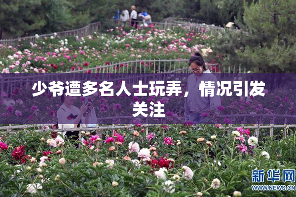 少爷遭多名人士玩弄，情况引发关注
