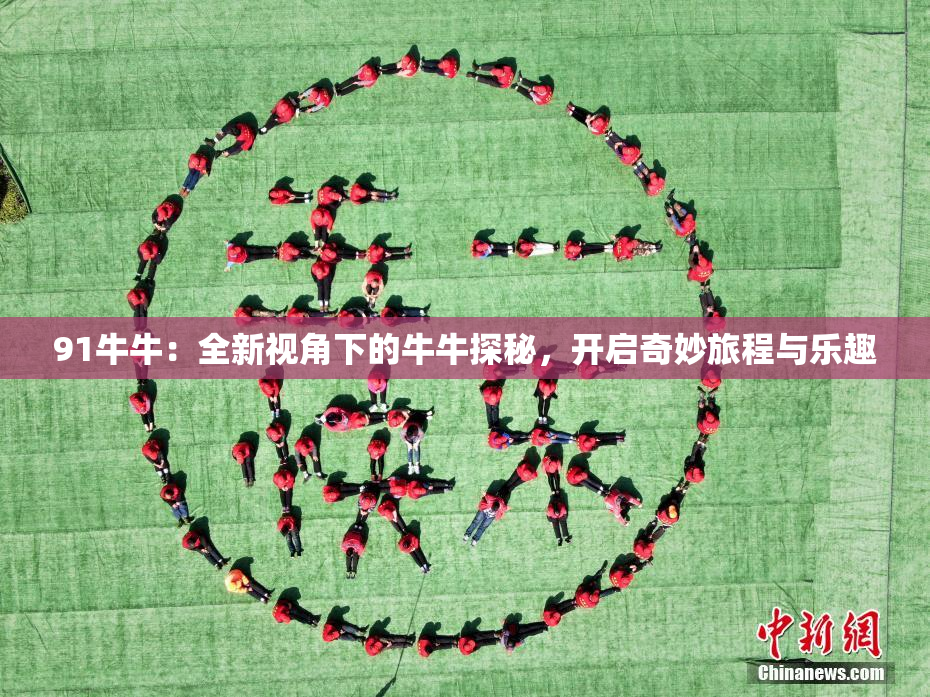 91牛牛：全新视角下的牛牛探秘，开启奇妙旅程与乐趣