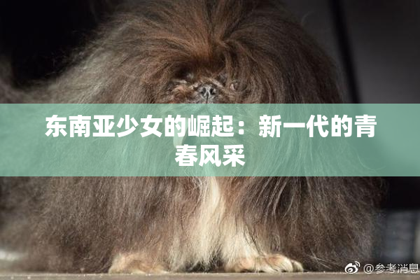 东南亚少女的崛起：新一代的青春风采