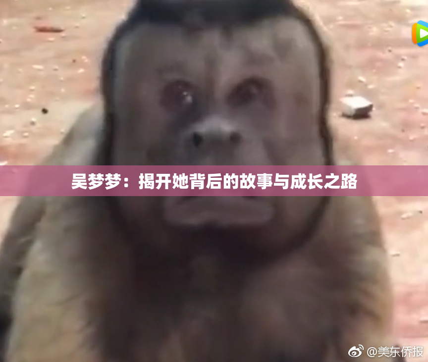 吴梦梦：揭开她背后的故事与成长之路