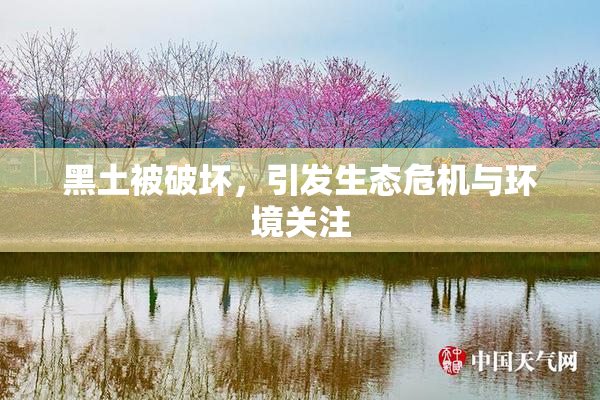 黑土被破坏，引发生态危机与环境关注