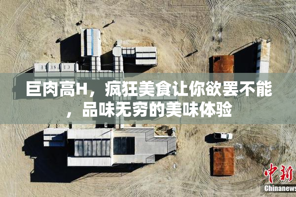 巨肉高H，疯狂美食让你欲罢不能，品味无穷的美味体验