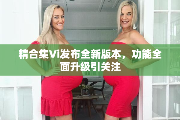 精合集Vi发布全新版本，功能全面升级引关注