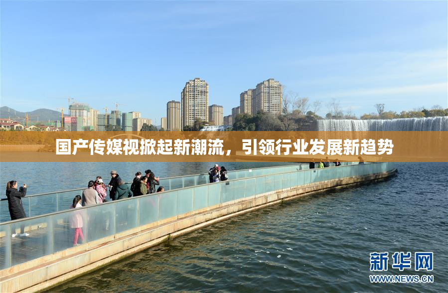 国产传媒视掀起新潮流，引领行业发展新趋势