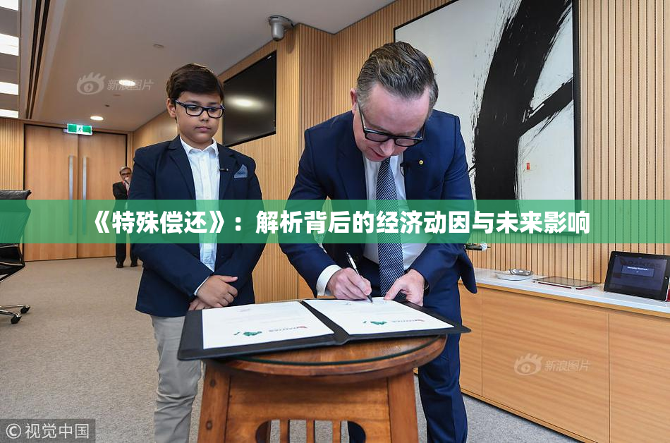 《特殊偿还》：解析背后的经济动因与未来影响