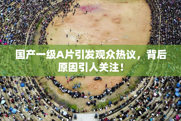 国产一级A片引发观众热议，背后原因引人关注！