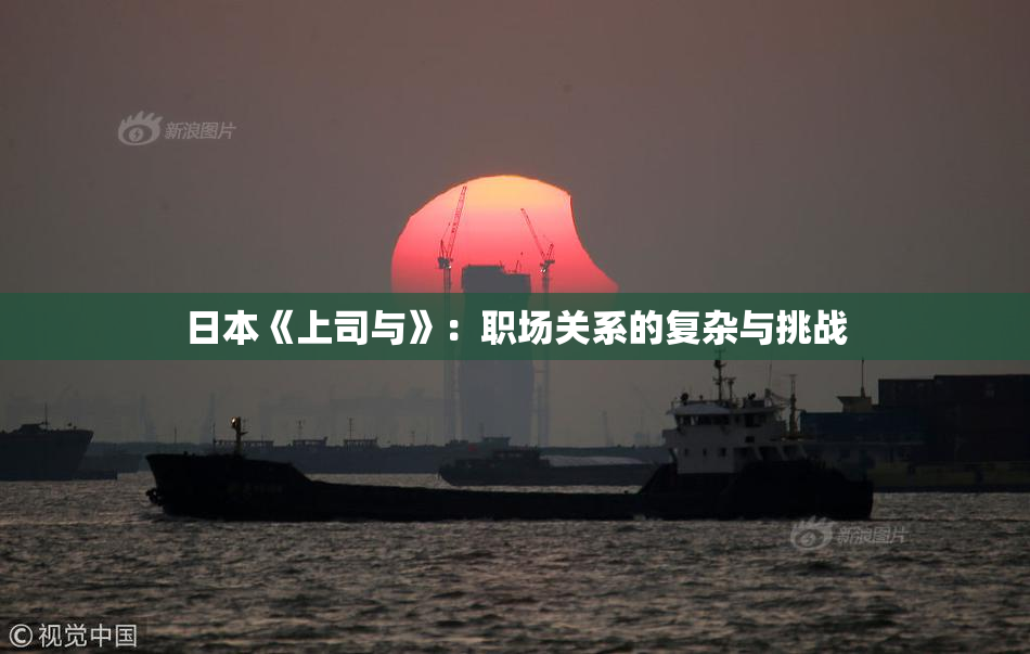 日本《上司与》：职场关系的复杂与挑战