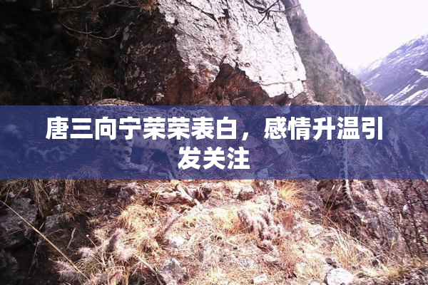 唐三向宁荣荣表白，感情升温引发关注