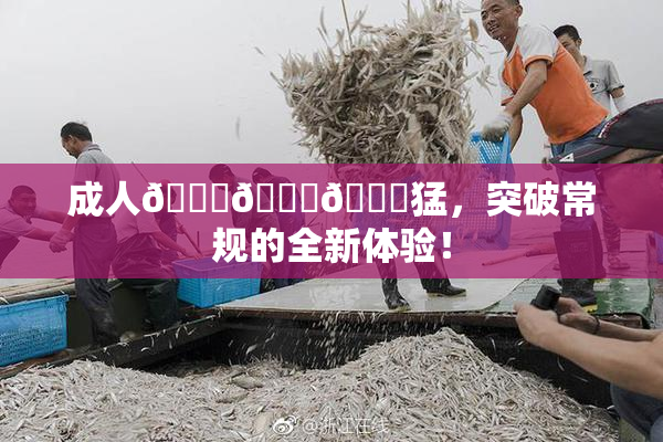 成人🍆🍑🔞猛，突破常规的全新体验！