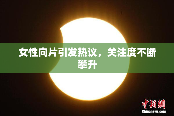 女性向片引发热议，关注度不断攀升