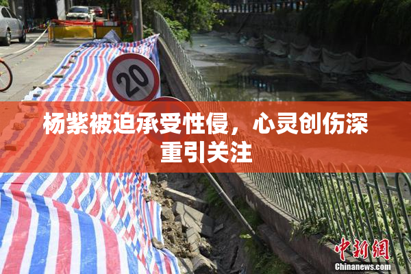 杨紫被迫承受性侵，心灵创伤深重引关注
