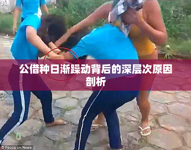 公借种日渐躁动背后的深层次原因剖析