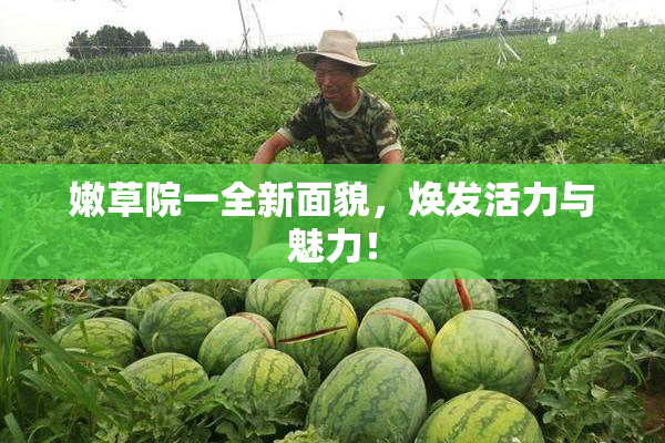 嫩草院一全新面貌，焕发活力与魅力！