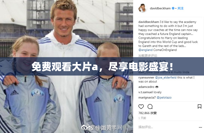 免费观看大片a，尽享电影盛宴！
