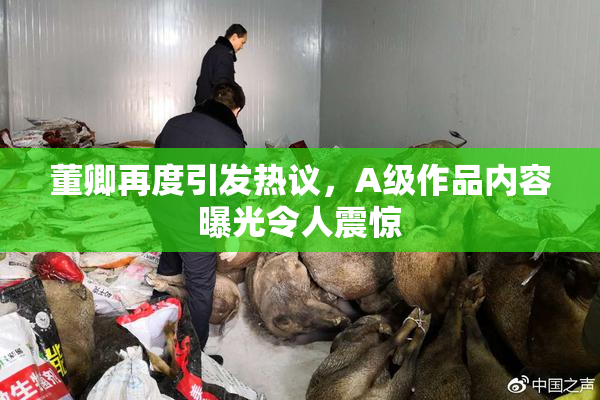 董卿再度引发热议，A级作品内容曝光令人震惊