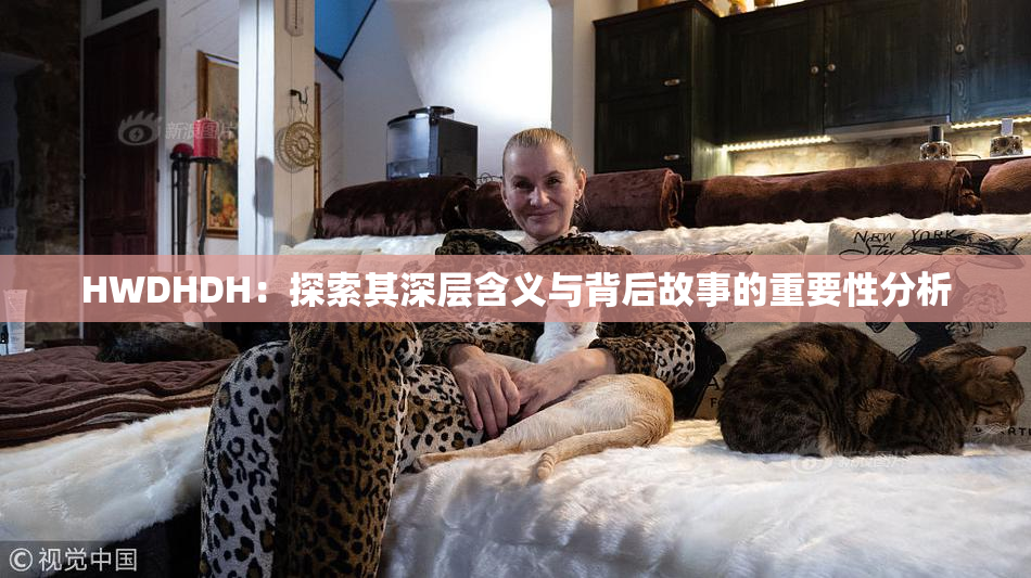 HWDHDH：探索其深层含义与背后故事的重要性分析