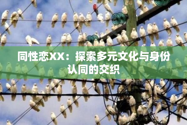 同性恋XX：探索多元文化与身份认同的交织