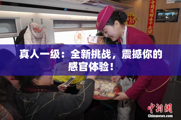 真人一级：全新挑战，震撼你的感官体验！