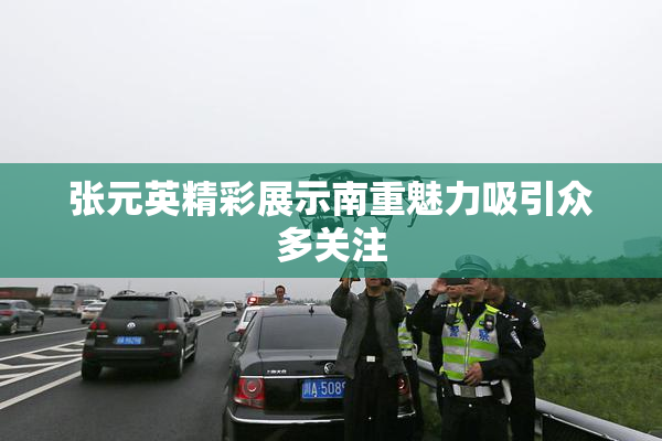 张元英精彩展示南重魅力吸引众多关注