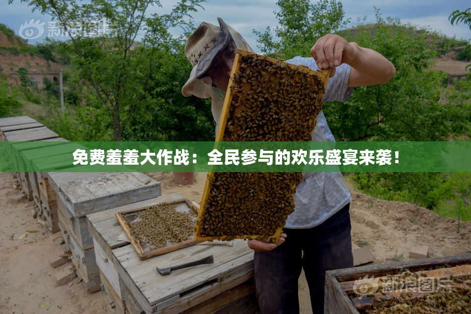 免费羞羞大作战：全民参与的欢乐盛宴来袭！