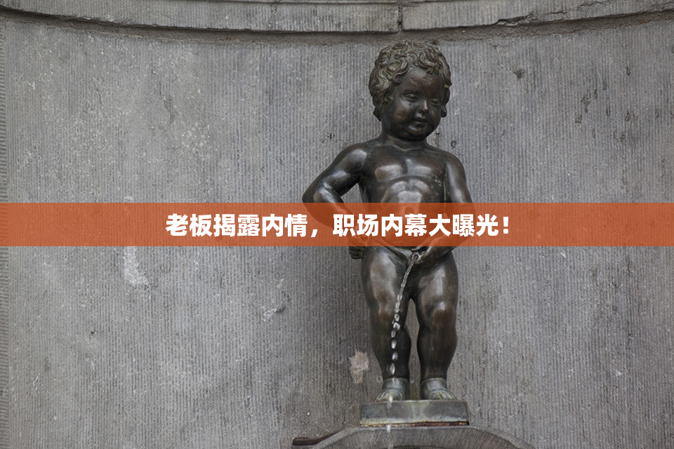 老板揭露内情，职场内幕大曝光！