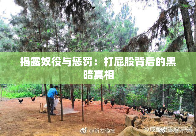 揭露奴役与惩罚：打屁股背后的黑暗真相