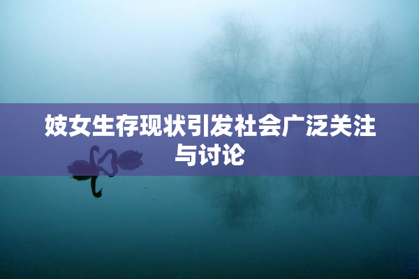妓女生存现状引发社会广泛关注与讨论