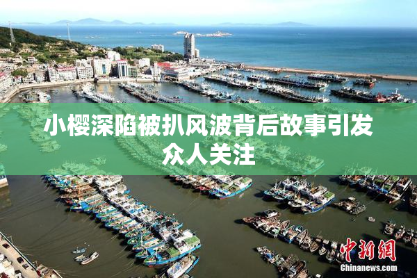小樱深陷被扒风波背后故事引发众人关注