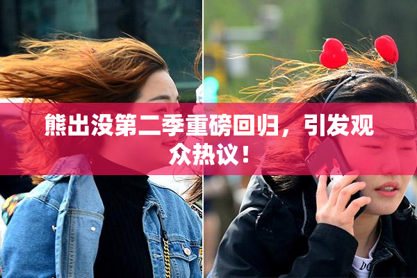 熊出没第二季重磅回归，引发观众热议！