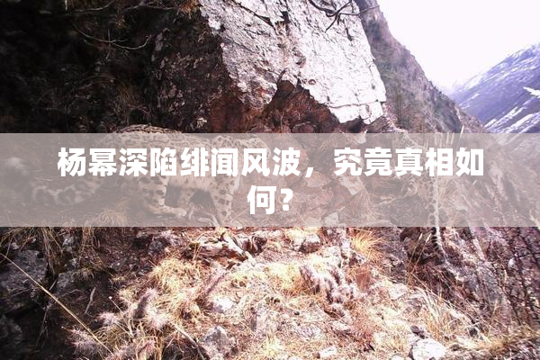 杨幂深陷绯闻风波，究竟真相如何？